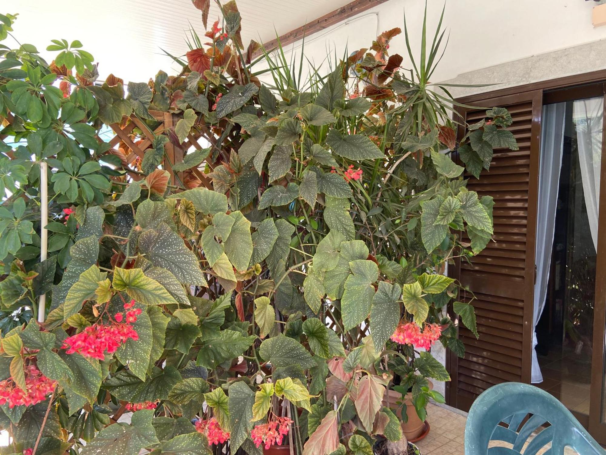 A Casa Da Maria Villa Luz de Tavira Kültér fotó